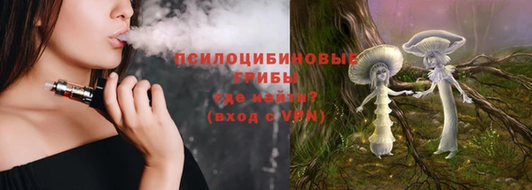 молекула духа Пестово