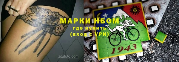 молекула духа Пестово