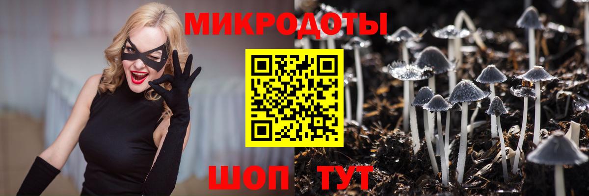 Россошь  Галлюциногенные грибы ЛСД  Псилоцибиновые грибы Magic Shrooms  Вход с VPN 